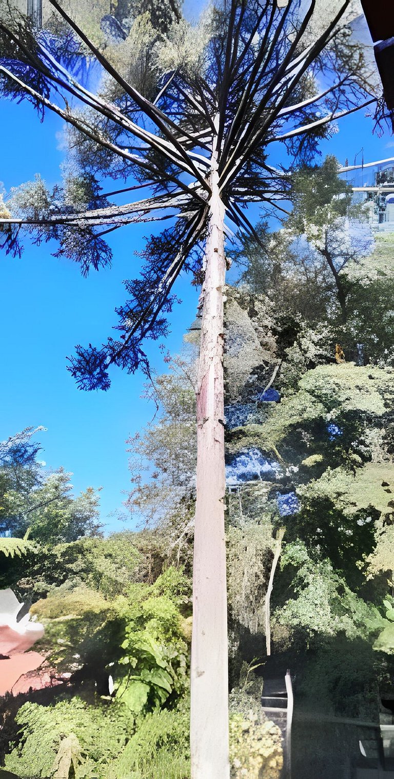 Cabana Alemã Tradicional