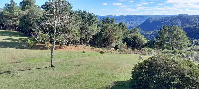 Sítio do Tucano Preto - Paraíso em Gramado!
