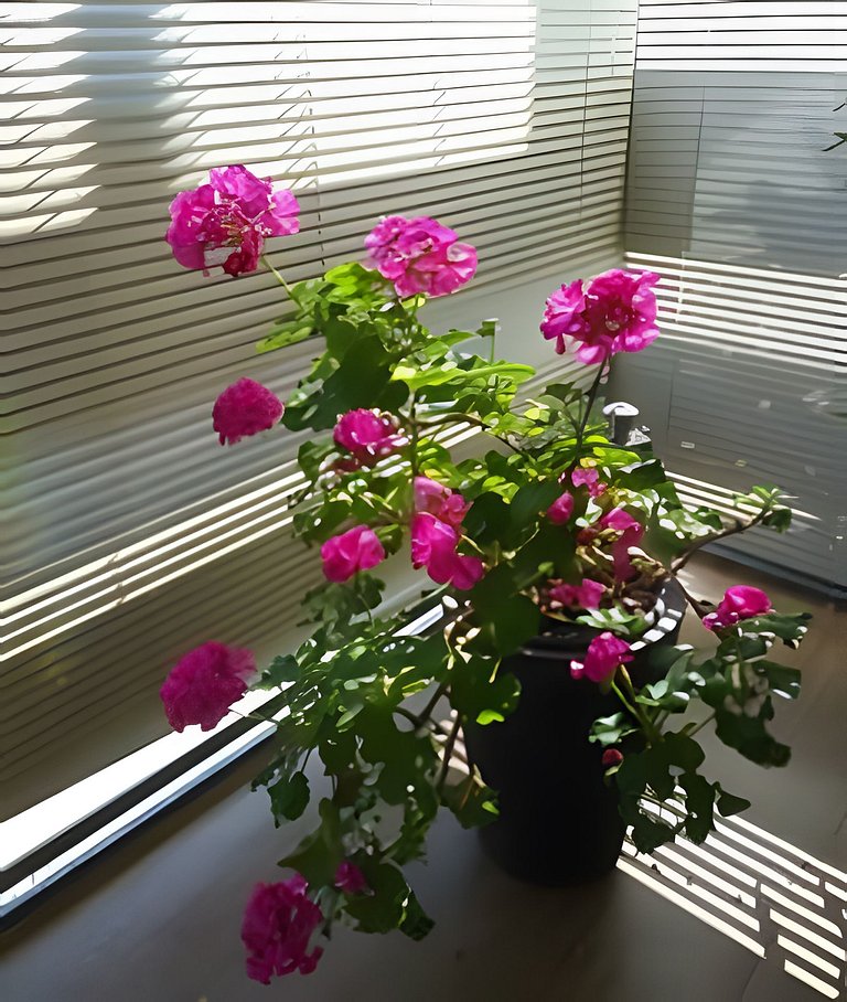 Duplex com ar Q/F, Piscina Aquec. Faça tudo a pé!