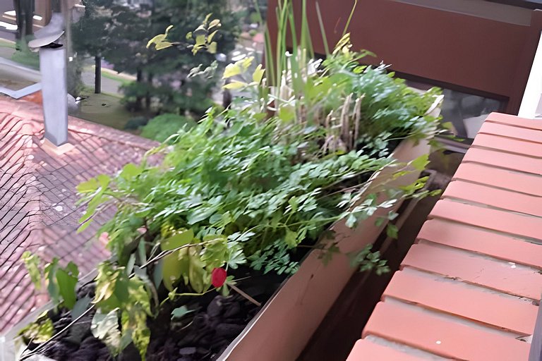 Duplex com ar Q/F, Piscina Aquec. Faça tudo a pé!