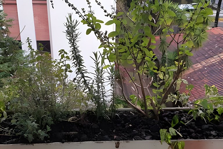 Duplex com ar Q/F, Piscina Aquec. Faça tudo a pé!